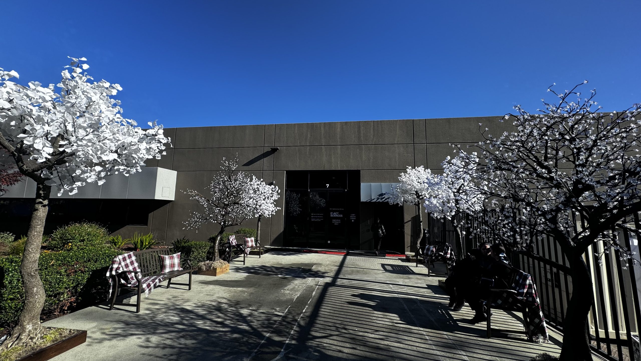 LED Trees and our Park Benches