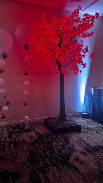 10 Ft LED White Jasmine Lit Red SF Bay Area Rental