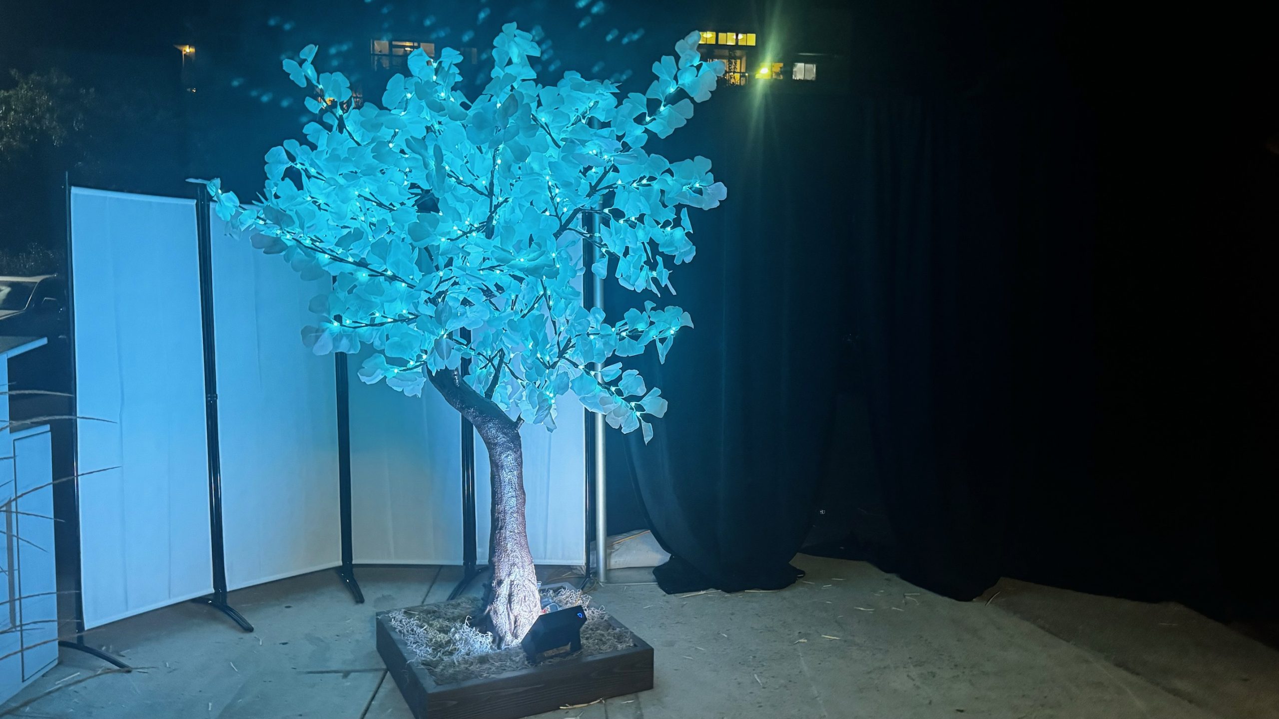 7 Ft White Gingko Leaf LED Tree Lit Teal