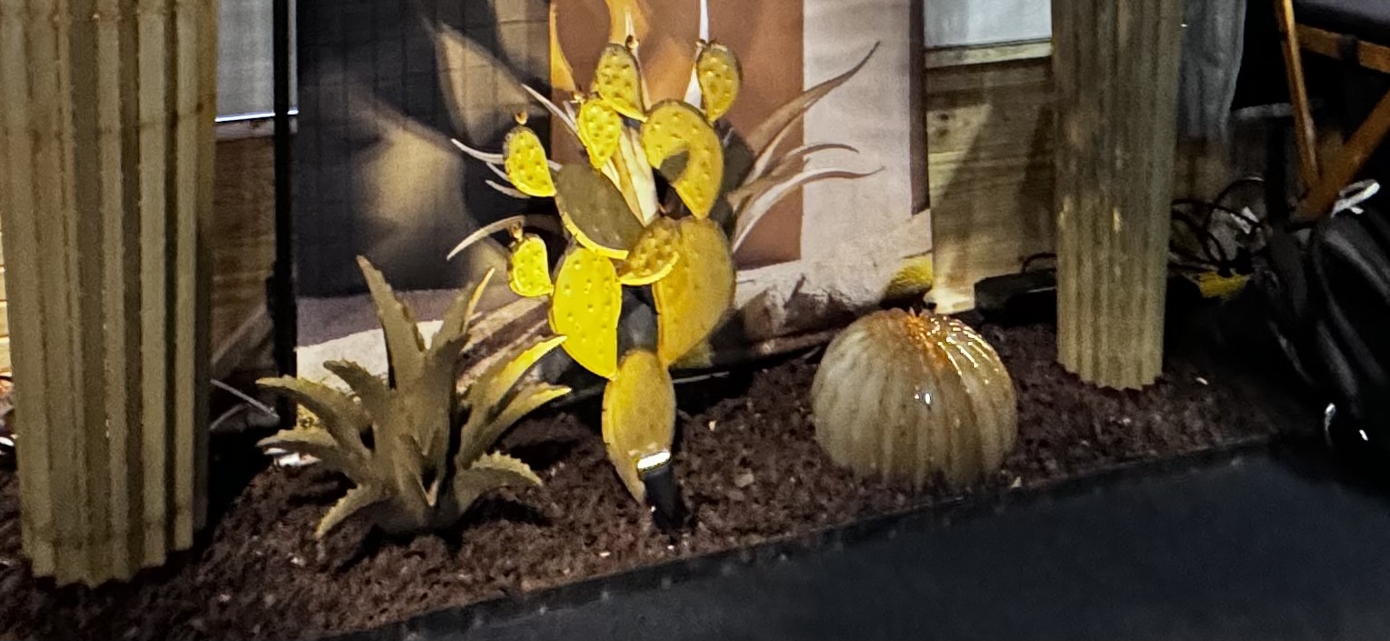 Cactus Variety-Agave, Prickly Pear, Golden Barrel Cactus Props