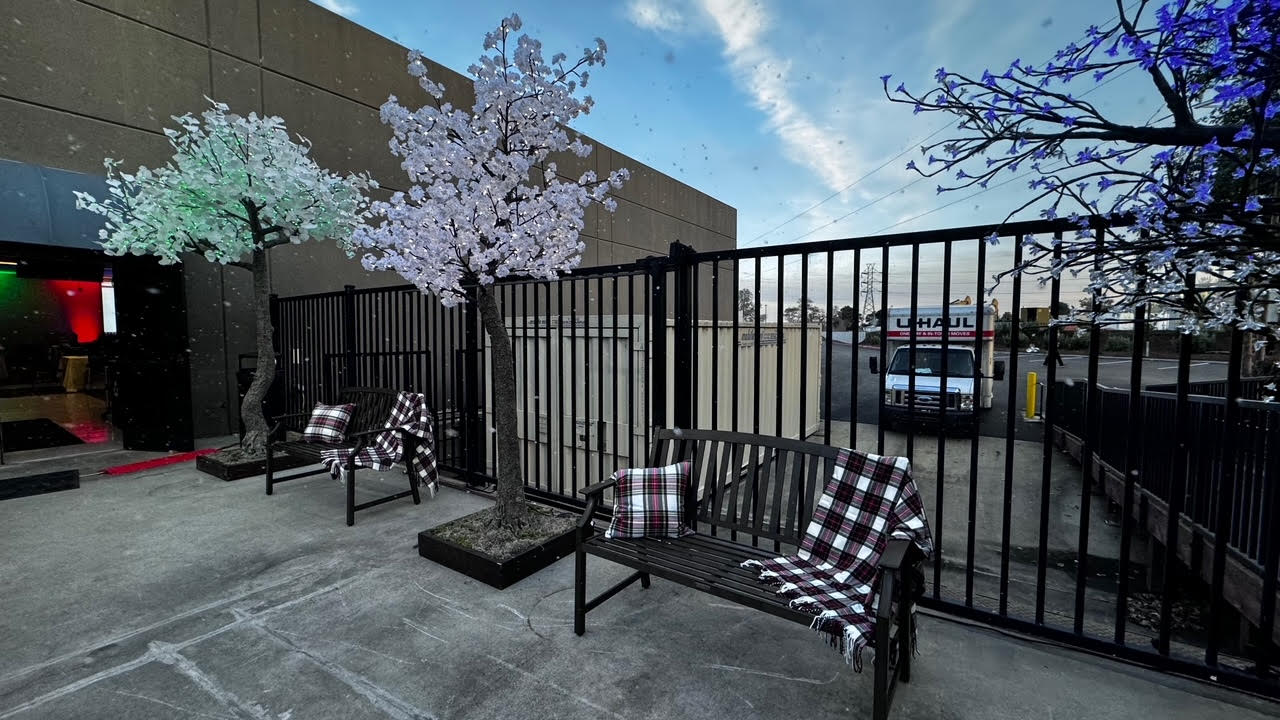 Decor Park Bench and LED Trees Rentals