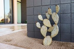 Tall Prickly Pear Prop Decor